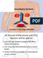 Genitourinary System