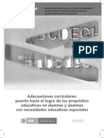 Adecuaciones Curriculares Puente