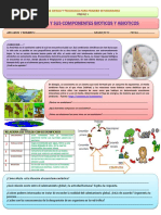 Ficha Sobre El Ecosistema y Componentes Abiotico y Bioticos