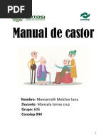 Manual de Castros