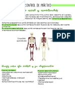 Sistema Esquelético Axial y Apendicular