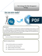 Module 3 - The Exchange Rate Risk Management