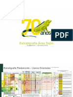 Información Estratigráfica - Área Acacias