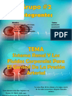 Anatomía y Fisiología Del Sistema Renal