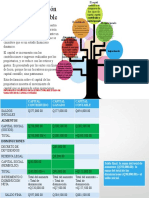 Infografía Estado de Variaciones en El Capital Contable