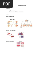 HUMAN BODY SYSTEMS3b