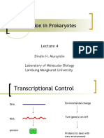 Transcription in Prokaryotes: Dindin H. Mursyidin Laboratory of Molecular Biology Lambung Mangkurat University