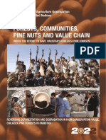 Chilgoza Pine Nuts Value Chain 