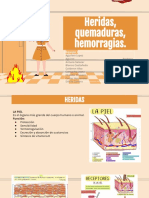 Heridas, Quemaduras, Hemorragias