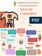 Sistema Endocrino