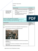 DLP - Urinary System