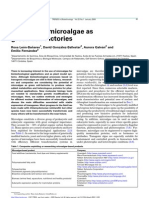 Articulo de Microalgas