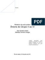 Relatório - Cátions Grupo V