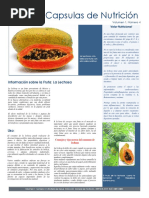 Capsula de Nutrición - Lechosa