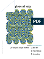 2.biophysics of Vision