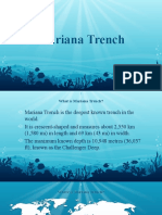 Mariana Trench