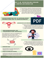 Infografia Riesgo de La Sexualidad en La Adolecencia