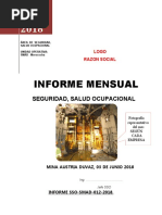 FORMATO Informe Mensual SSO 2018