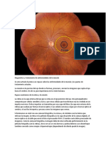 Diagnóstico y Tratamiento de Enfermedades de La Mácula