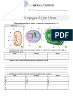 Avaliação - Ciencias - 63