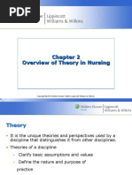 Overview of Theory in Nursing