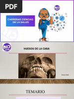 Huesos de La Cara