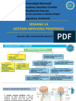 Clase 14 SNP