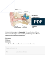 Anatomy of The Ear