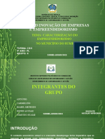 Gestão D Inovação de Empresas e Empreendedorismo