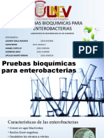 Pruebas Bioquimicas para Enterobacterias