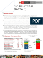 RCB Perú Nafta