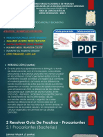 Tarea Práctica 4 - Grupo 4