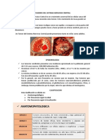 Tumores Del Sistema Nervioso Central