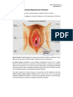 4 Naturales Reproductor II