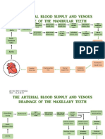 GONZALES DENT 2D M13 Post Task Lesson 1 The Blood Supply of The Head and Neck