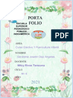 Portafolio de Electivo - III-C Diaz Angeles