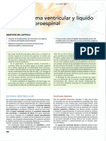 Neuroanatomía de Snell 8° Edición