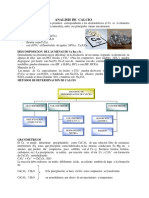 Calcio y Sus Determinaciones