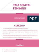 Sistema Genital Feminino