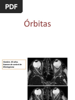 Orbitas FINAL