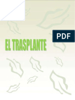 El Trasplante