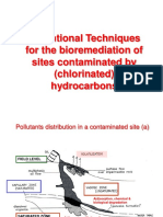 Bioremediation Techniques and Their Perpectives