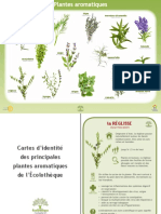 Plantes Aromatiques