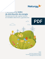 Polinización y Redes de Distribución de Energía