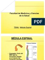 Mdula Espinal Anatomia Robotti Ma Luz3707