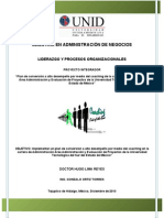 Proyecto Liderazgo y Procesos Organizacionales Final