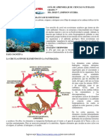 GT 2020 CN G7 El Flujo de La Materia en Los Ecosistemas