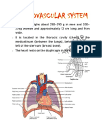 Cardiovascular System