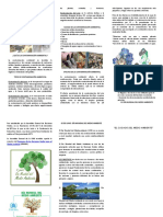 Triptico Del Medio Ambiente 2