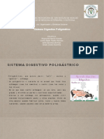 Sistema Digestivo Poligástrico PDF